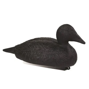 Appelant eider noir Stepland Par 1