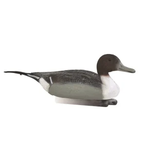 Appelant pilet male Stepland