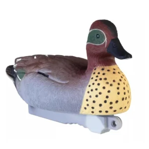 Appelant sarcelle male HD Stepland