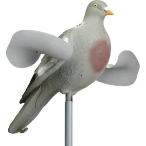 Appelant Stepland Pigeon ailes tournantes 1