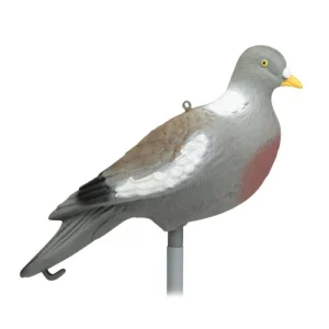 Appelant Stepland Pigeon sans patte 1